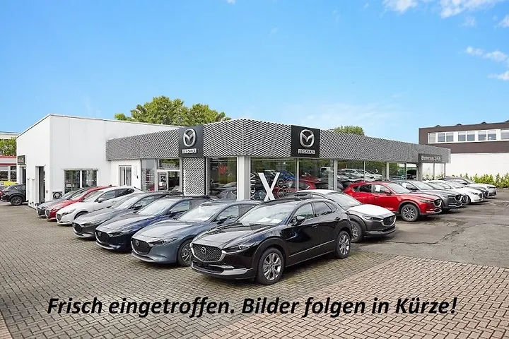 CX-5 SKYACTIV-G 160 AWD Exclusive-Line Geschlossen