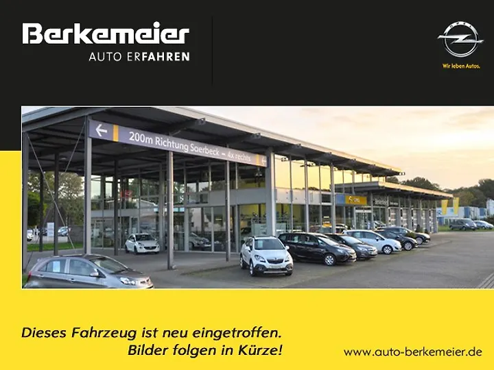 Combo Cargo 1.5 D L1 EHZ Kasten