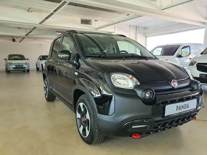 Fiorino SX Kasten