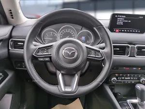 Fahrzeugbild