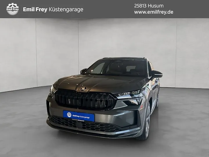 Kodiaq 2.0 TDI DSG Active Geschlossen