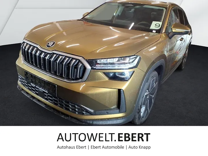 Kodiaq 2.0 TDI DSG Selection Geschlossen