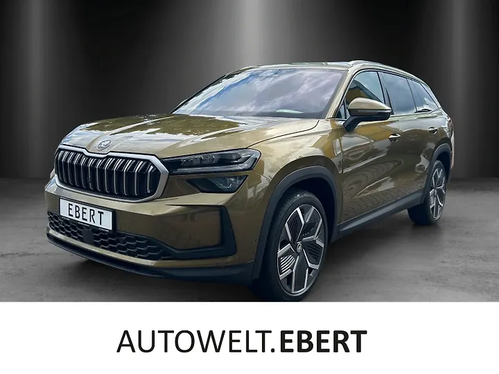 Kodiaq 2.0 TDI DSG Active Geschlossen
