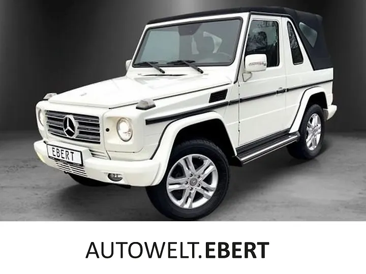 G 300 CDI L Automatik DPF Professional Geschlossen