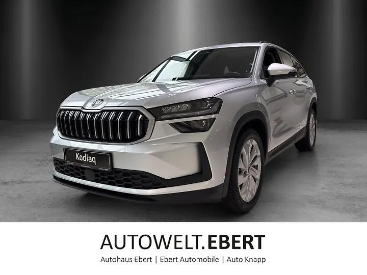 Kodiaq 2.0 TDI DSG Selection Geschlossen