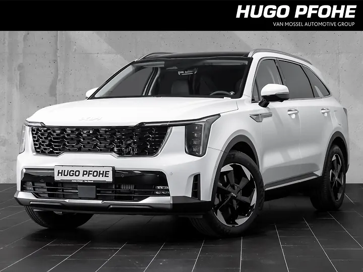 Sorento 2.2 CRDi DCT8 AWD Vision Geschlossen