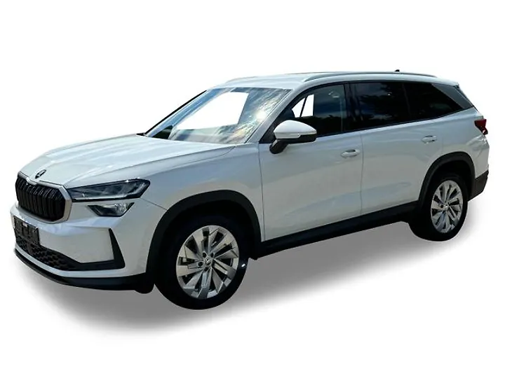 Kodiaq 2.0 TDI DSG Active Geschlossen