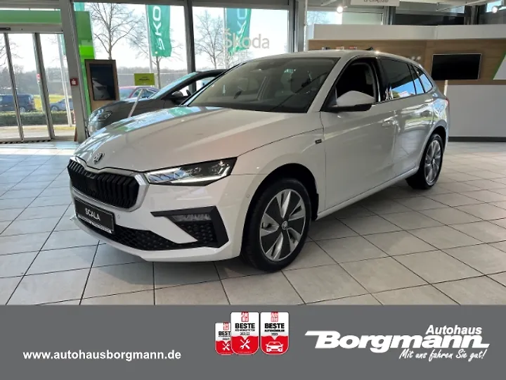 Octavia DSG RS Limousine