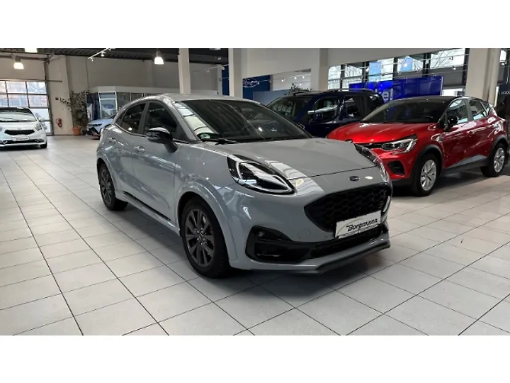 Fiesta 1.1 TREND Limousine