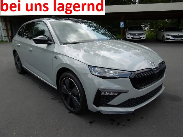 Octavia RS Limousine