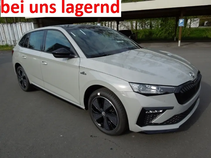 Octavia RS Limousine