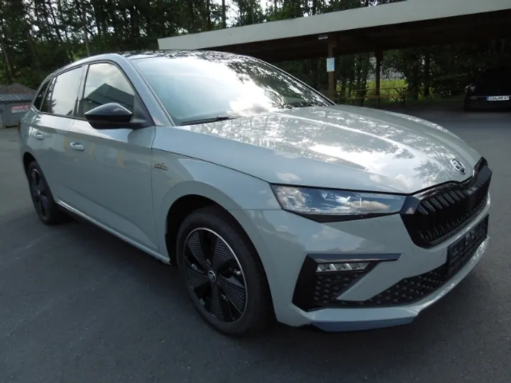 Octavia RS Limousine