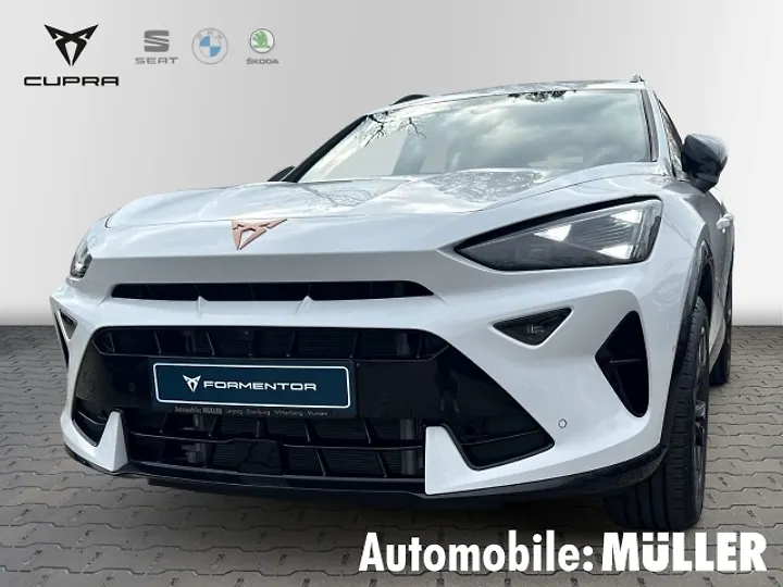 Formentor 2.0 TDI 4Drive DSG Geschlossen
