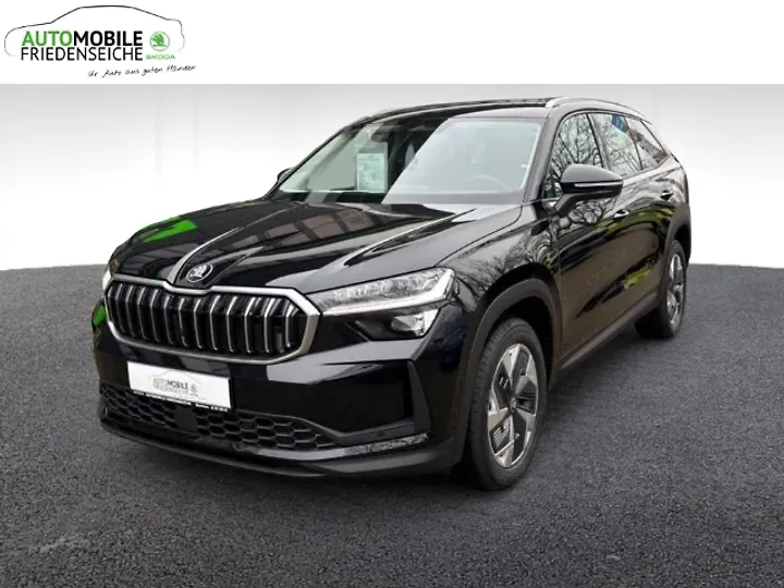 Kodiaq 2.0 TDI DSG Active Geschlossen