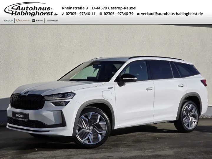 Kodiaq 2.0 TDI DSG Selection Geschlossen