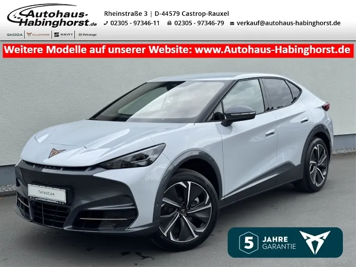 Tavascan 210 kW/77kWh HA Endurance Limousine