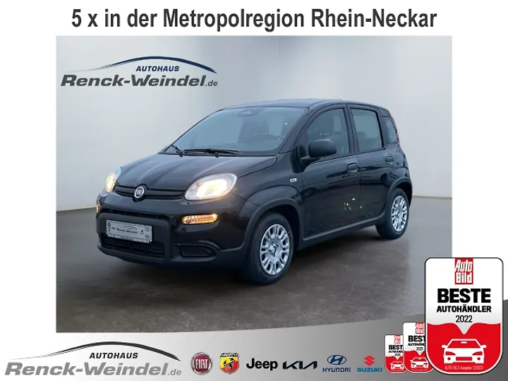 Panda 1.0 GSE Hybrid Kombi