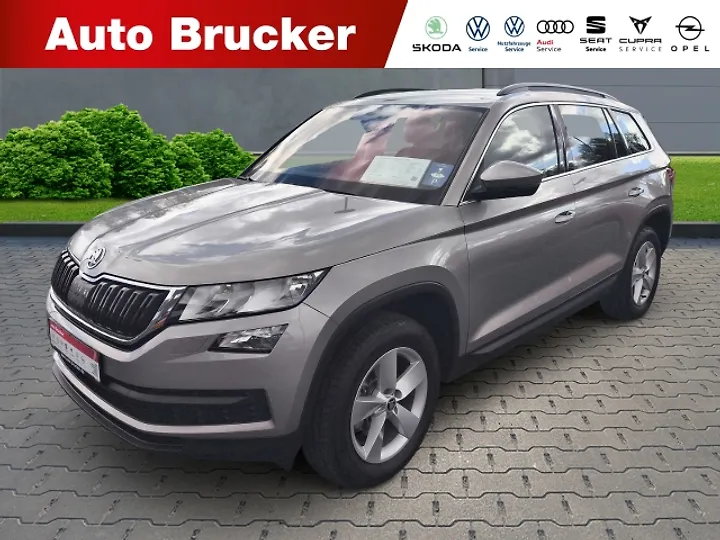 Kodiaq 2.0 TDI 4x4 Ambition Geschlossen