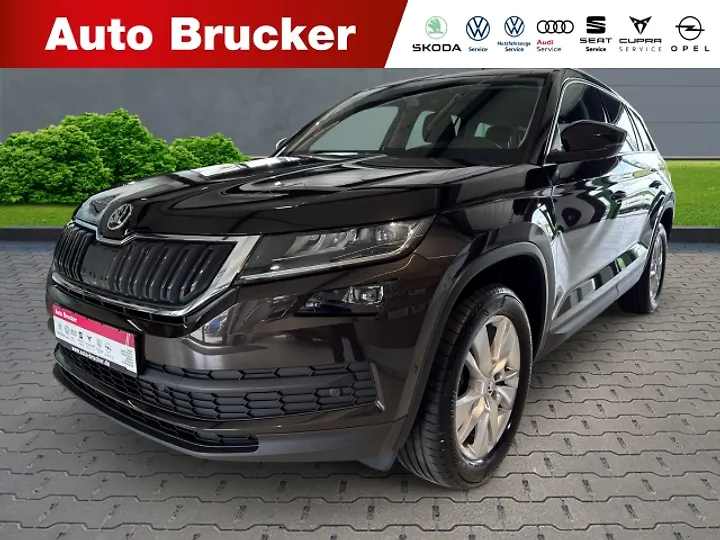 Kodiaq 2.0 TDI 4x4 Ambition Geschlossen