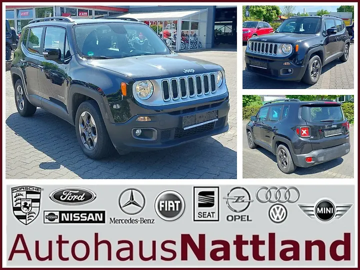 Renegade 1.6 E-torQ Sport Geschlossen