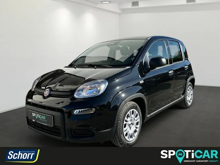 Panda 1.0 GSE Hybrid Kombi