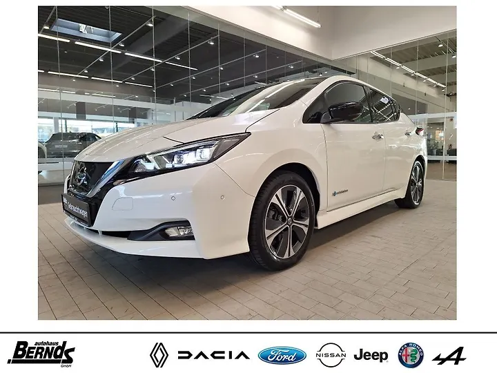 Leaf 40 kWh TEKNA Limousine