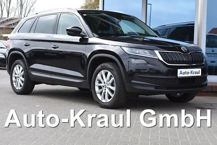 Kodiaq 2.0 TDI DSG Style Geschlossen