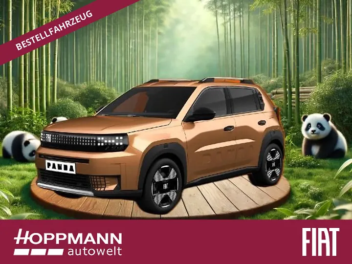 Grande Panda 44kWh Sonderedition Limousine