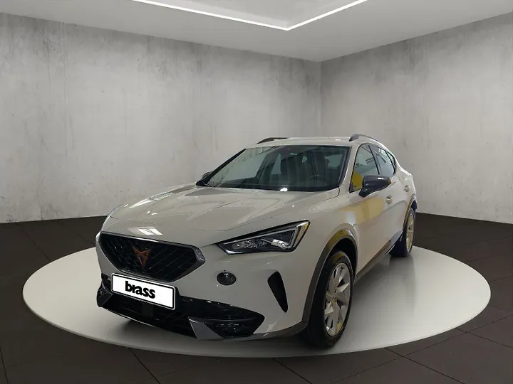 Formentor VZ 2.0 TSI 4Drive DSG Geschlossen