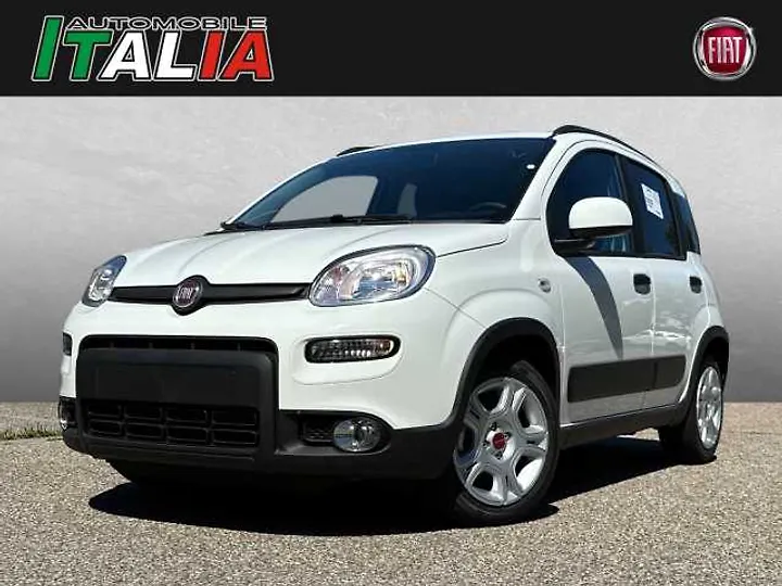 Panda 1.0 GSE Hybrid Kombi