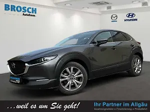 Fahrzeugbild