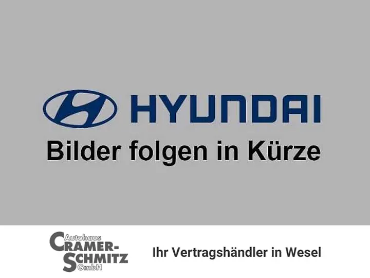 SANTA FE 1.6 Plugin-Hybrid 4WD 7-Sitzer Signature Geschlossen