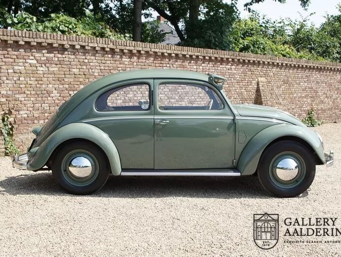 Volkswagen beetle t zwv hv fgx8bmojyqw2