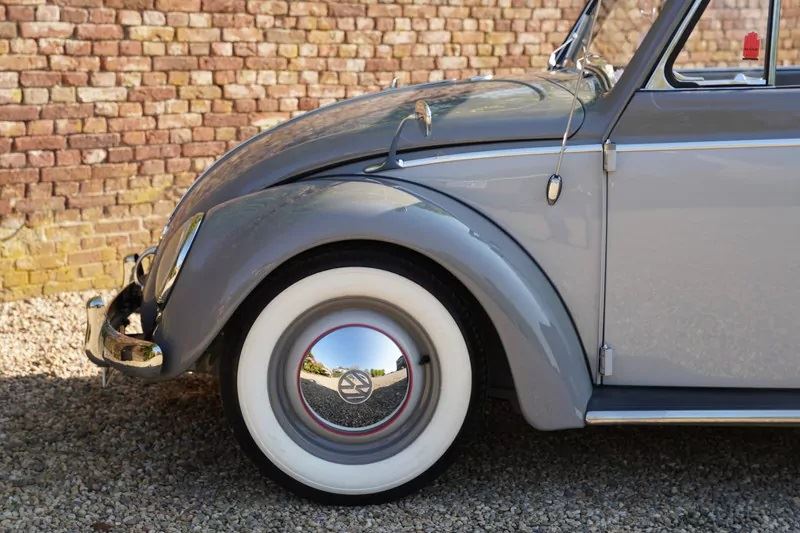 Volkswagen beetle i hvgxcycjotwzmo2ii8d