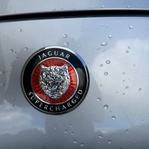 Jaguar xk8 bh nienfaij8iclb3vpii