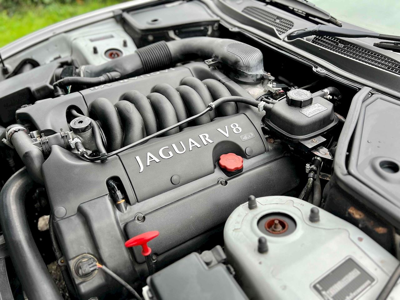 Jaguar xk8 9uuao7rrai9es kksdjlu